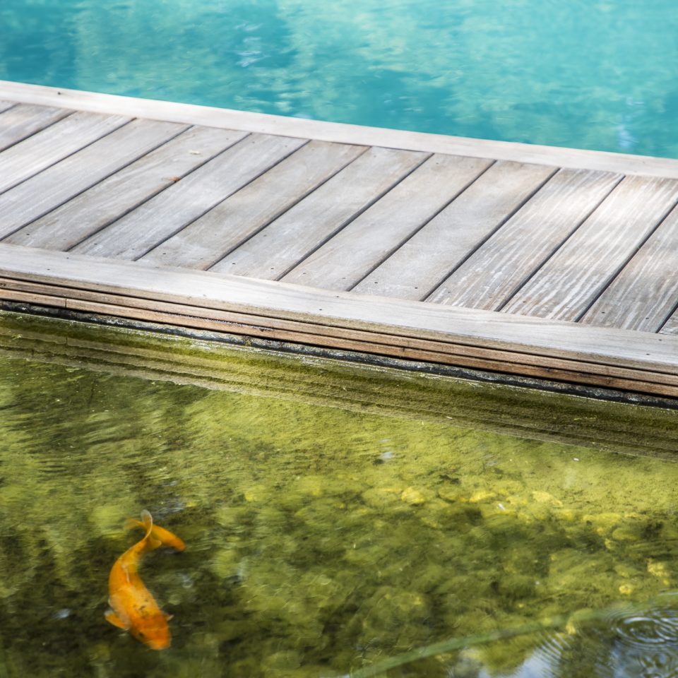 ©FRED PIEAU EUROPISCINE 1646385430 COTEPISCINE FPIEAU 2017 EUROPISCINE VAILLY18 0381